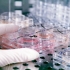Laboratorium